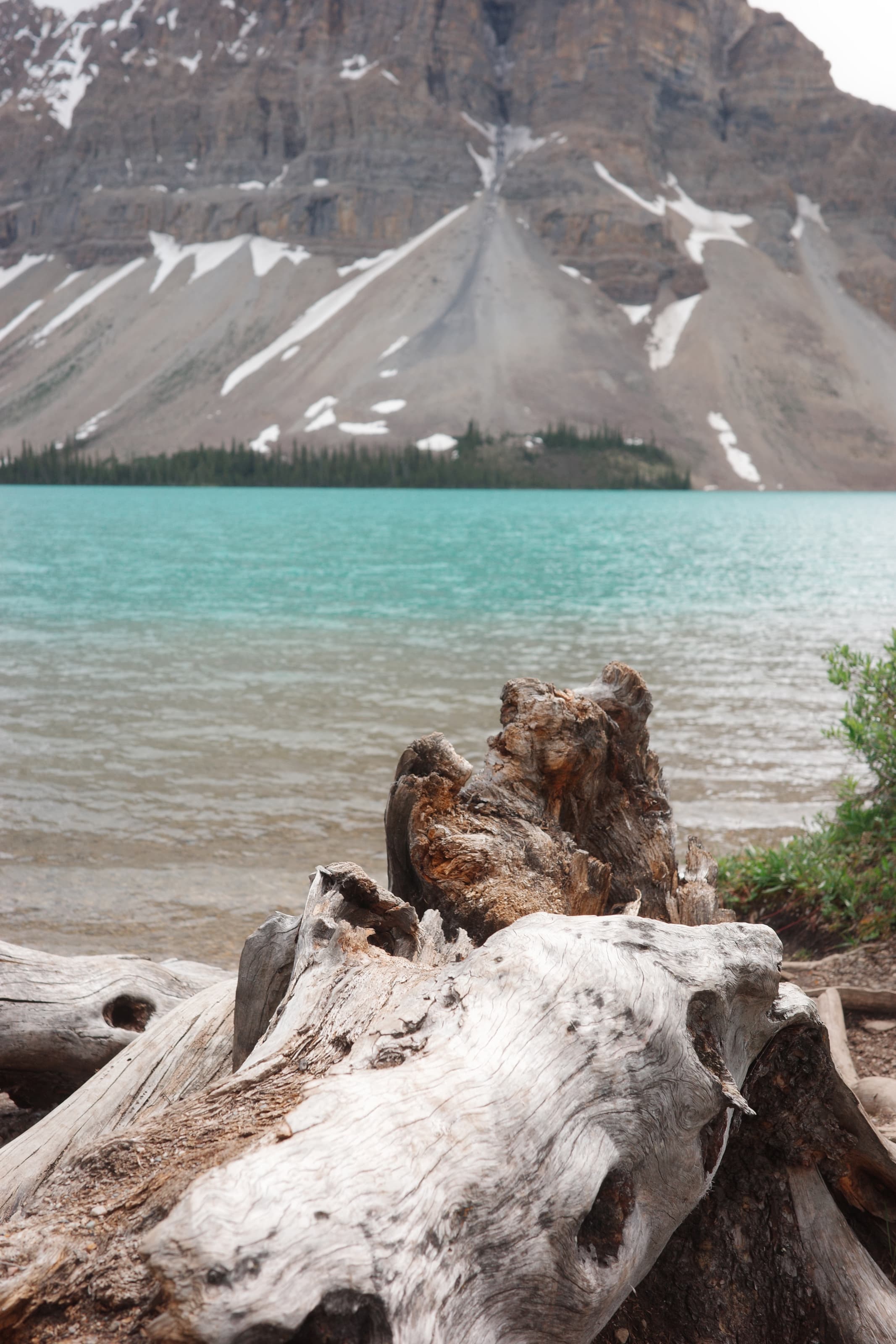 Canada 08